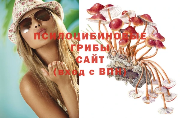 стафф Сосновка